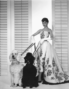 White ball gown from "Sabrina"